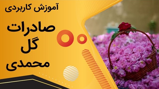 آموزش صادرت گل محمدی