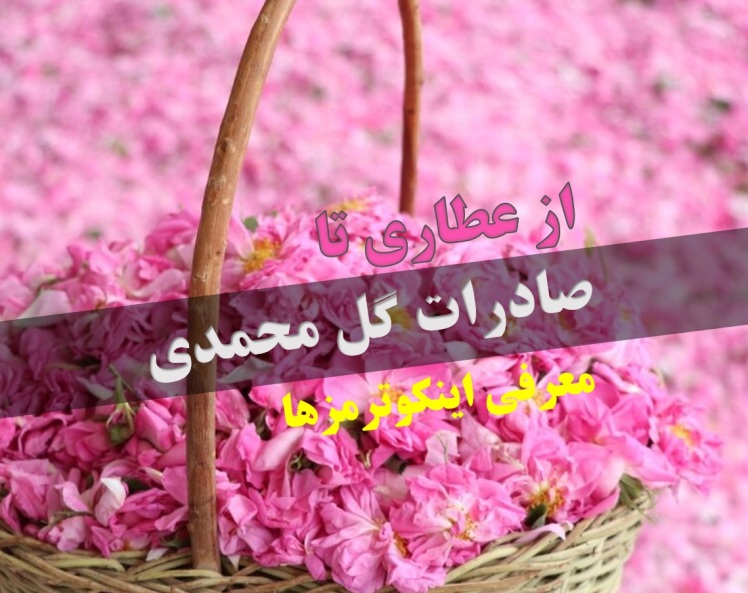 صادرات گل محمدی + اینکوترمزها