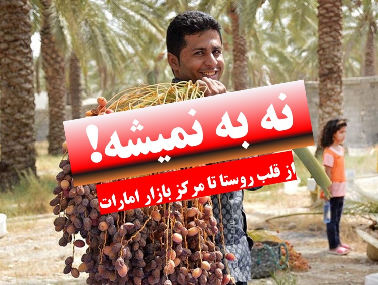 باورهای غلط شغل کارمندی + تجارت بدون سرمایه از قلب باغات خرما تا مرکز بازار امارات + جوان خرمشهری و صادرات