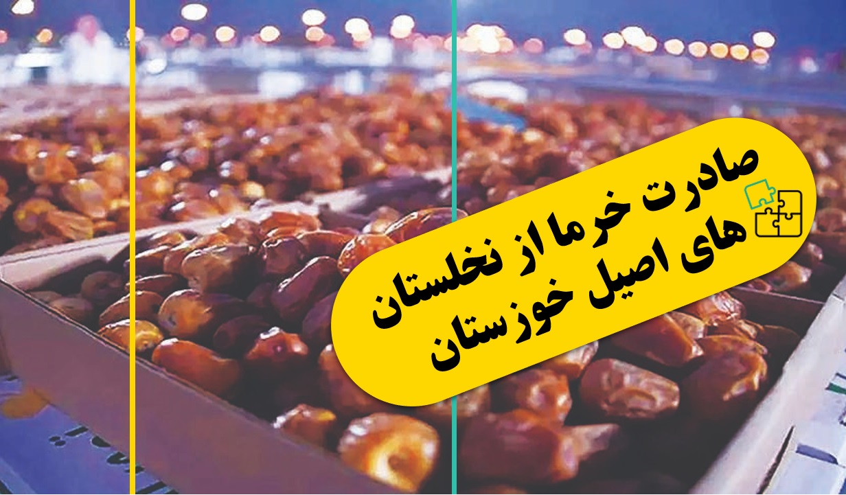 از کارمندی تا تجارت خرما؛ داستان موفقیت زهرا چراغی با تاجرآفرین